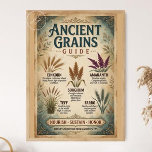 May include: A framed wall art print titled ANCIENT GRAINS GUIDE with illustrations of einkorn, sorghum, amaranth, teff, and farro. The poster features a vintage-style beige background, dark blue text, and decorative borders with the text NOURISH SUSTAIN HONOR.