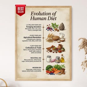 May include: A framed educational poster titled Evolution of Human Diet with a red Best Seller tag. It displays a timeline from 2.5 million years ago to the modern era, featuring illustrations of food groups like berries, grains, spices, and fresh produce.