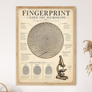 May include: A framed educational poster titled FINGERPRINT UNDER THE MICROSCOPE on a beige background. It features a large central fingerprint diagram with labeled parts like ridge, furrow, and core, plus three common pattern types and a microscope.