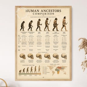 Menschliche Vorfahren im Vergleich, Hominin Evolution Wandkunst Poster