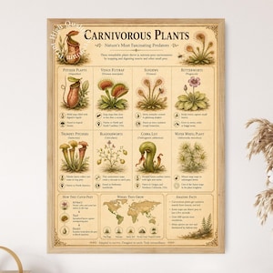 以下が含まれることがあります： 「Carnivorous Plants: Nature's Most Fascinating Predators」と題された額装済みの教育用ポスター。ベージュのプリントには、ウツボカズラやハエトリグサなど、8種類の植物の精巧な植物画が描かれており、説明文、アイコン、生息地を示す世界地図が添えられています。