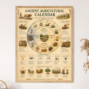 Op de afbeelding: Een rechthoekige poster getiteld Ancient Agricultural Calendar met een centraal cirkelvormig diagram verdeeld in seizoenen. Het bevat illustraties van landbouwtaken, maancycli en natuuradviezen met tekst over seizoensgebonden werk.