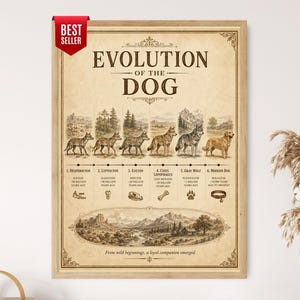 May include: A framed poster titled Evolution of the Dog, featuring a timeline of six canine ancestors from Hesperocyon to the modern dog. The print includes illustrations of each species, geological time periods, and a landscape scene at the bottom.