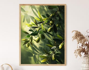 olivenbaum erde wechseln Olivenbaum Erde 5 L