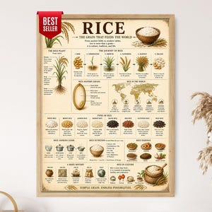 May include: A rectangular educational poster titled RICE THE GRAIN THAT FEEDS THE WORLD with a red BEST SELLER tag. It features illustrations of the rice plant life cycle, grain anatomy, a world map, types of rice, cooking guide, and nutrition facts.