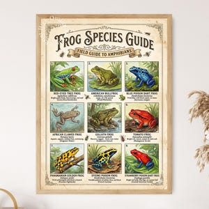 Frog Species Guide Poster, Amphibian Identification Educational Wall Art
