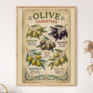 May include: A framed wall art print titled Olive Varieties, featuring botanical illustrations of five olive types: Arbequina, Kalamata, Picual, Manzanilla, and Nocellara. The poster has a vintage parchment-style background with green and brown text.
