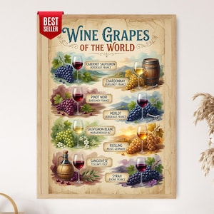 May include: A framed wall art print titled Wine Grapes of the World featuring illustrations of various grape varieties and wine glasses. The poster displays labels for Cabernet Sauvignon, Chardonnay, Pinot Noir, Merlot, Sauvignon Blanc, Riesling, and Syrah.