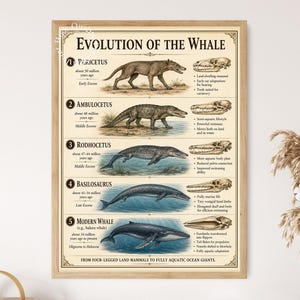Evolución de la ballena, póster de arte mural sobre la evolución de la ballena