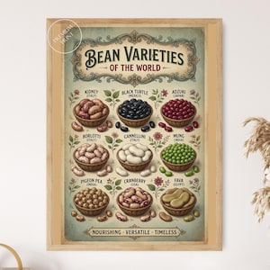 Könnte beinhalten: Ein gerahmter Wanddruck mit dem Titel Bean Varieties of the World, der Illustrationen von neun Bohnensorten in Körben zeigt, darunter Kidney, Black Turtle, Adzuki, Borlotti, Cannellini, Mung, Pigeon Pea, Cranberry und Fava mit Herkunftsangaben.