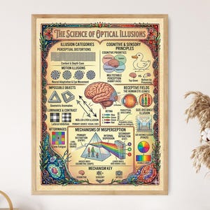 May include: A framed educational poster titled The Science of Optical Illusions, featuring a central human brain illustration surrounded by diagrams of cognitive principles, perception categories, and light refraction mechanisms in various colors.