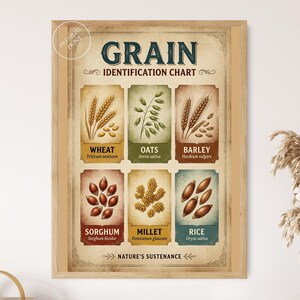May include: A framed wall art print titled Grain Identification Chart, featuring six rectangular panels displaying illustrations of wheat, oats, barley, sorghum, millet, and rice with their common and scientific names on a beige background.