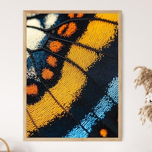 Op de afbeelding: Een ingelijste close-up van een vlindervleugel. De afbeelding toont ingewikkelde patronen en texturen in geel, oranje, blauw en zwart. Het kunstwerk is gevat in een natuurlijke houten lijst, wat een warme uitstraling geeft.