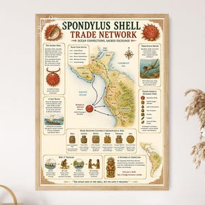 May include: A framed educational poster titled Spondylus Shell Trade Network, featuring a map of ancient trade routes across the Americas, illustrations of Spondylus shells, historical maritime scenes, and descriptive text about sacred exchange.