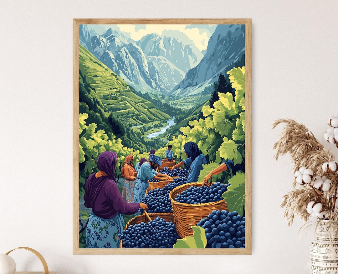 ヴィンテージ　デスク　grape bunch Panjshir Valley Grape Harvest Art Print, Afghan Vineyard Scene