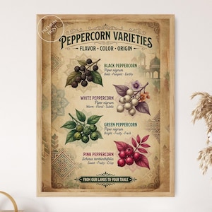 May include: A framed wall art print titled Peppercorn Varieties, featuring botanical illustrations of black, white, green, and pink peppercorns with flavor, color, and origin descriptions. The text includes Peppercorn Varieties, From Our Lands To Your Table.