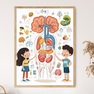 Menschlicher Körper für Kinder Illustration, Organ Diagramm Kunst, Erziehungskunst Druck