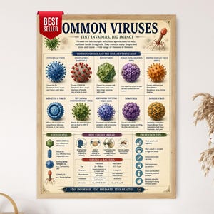 Puede incluir: Un póster educativo enmarcado titulado COMMON VIRUSES, TINY INVADERS, BIG IMPACT. Presenta ilustraciones de varios virus, incluidos la gripe, el coronavirus y el rinovirus, con descripciones de enfermedades, métodos de transmisión y consejos de prevención.