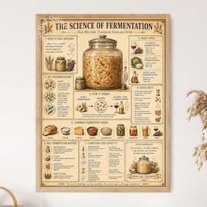 Peut inclure: Une affiche éducative rectangulaire intitulée The Science of Fermentation sur fond beige. Elle présente un bocal en verre central rempli de légumes fermentés, entouré de schémas, de textes et d'illustrations expliquant les processus microbiens, les types de fermentation et les aliments fermentés courants.