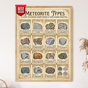 Può includere: Un poster educativo incorniciato intitolato Meteorite Types: A Guide to Diverse Cosmic Rocks & Their Characteristics. Presenta quindici illustrazioni numerate di vari meteoriti con testo descrittivo e un grafico di confronto delle sezioni.