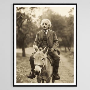 Albert Einstein Riding Donkey, Funny Vintage Photo Print