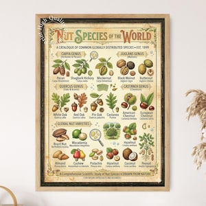 May include: A framed botanical wall art print titled Nut Species of the World, featuring detailed illustrations of various nuts and trees with scientific labels. The poster displays categories like Carya Genus, Juglans Genus, and Global Nut Varieties.