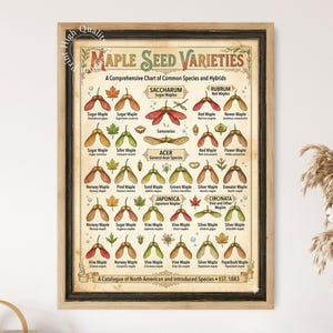 May include: A framed botanical chart titled Maple Seed Varieties, A Comprehensive Chart of Common Species and Hybrids. The print displays various maple seeds in red, green, and brown, labeled with names like Sugar Maple and Red Maple.