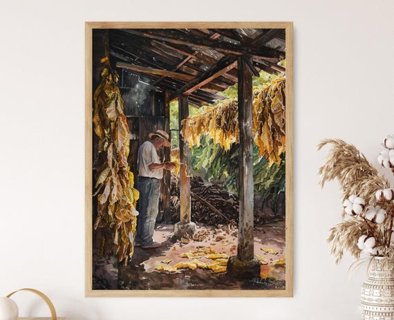 Cuban Farmer Inspecting Tobacco Leaves, Colorful Wall Art for Living Room