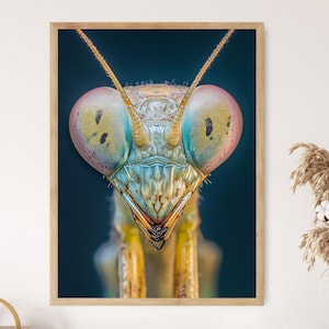 May include: A framed macro photograph of a praying mantis head. The insect's large, multi-colored eyes are the focal point, with shades of pink, blue, and yellow. The detailed image showcases the mantis's intricate features and textures, set against a dark blue background.