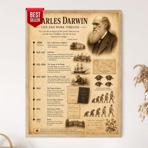 Puede incluir: Un póster enmarcado titulado Charles Darwin Life and Work Timeline con un retrato en tono sepia de Darwin, una cronología de eventos de 1809 a 1882, ilustraciones del HMS Beagle, pinzones, evolución humana y una etiqueta roja de Best Seller.