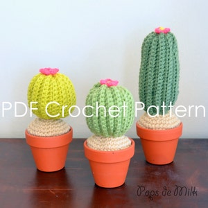 Crochet Cactus Pattern Succulent Amigurumi Plant