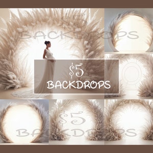 Backlit Boho Set Digital Backdrops, Maternity Backgrounds, Studio Backdrops