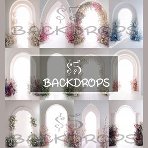 White Floral Arches Set Digital Backdrops, Maternity Backgrounds, Studio Backdrops