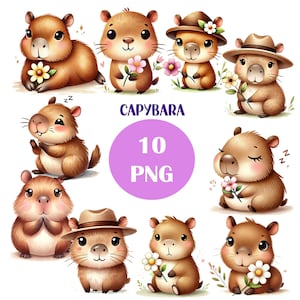lindo capibara Clipart, DESCARGA DIGITAL, Linda acuarela, Baby Shower Clip Art, Guardería Uso comercial PNG