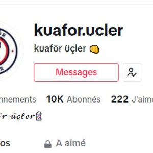 10.000 TikTok-Follower, SCHNELLE LIEFERUNG, Hohe Qualität, Nachfüllung 30DAYS Exclusive Bild 5