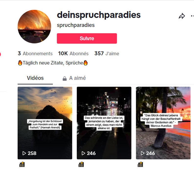 10.000 TikTok-Follower, SCHNELLE LIEFERUNG, Hohe Qualität, Nachfüllung 30DAYS Exclusive Bild 4