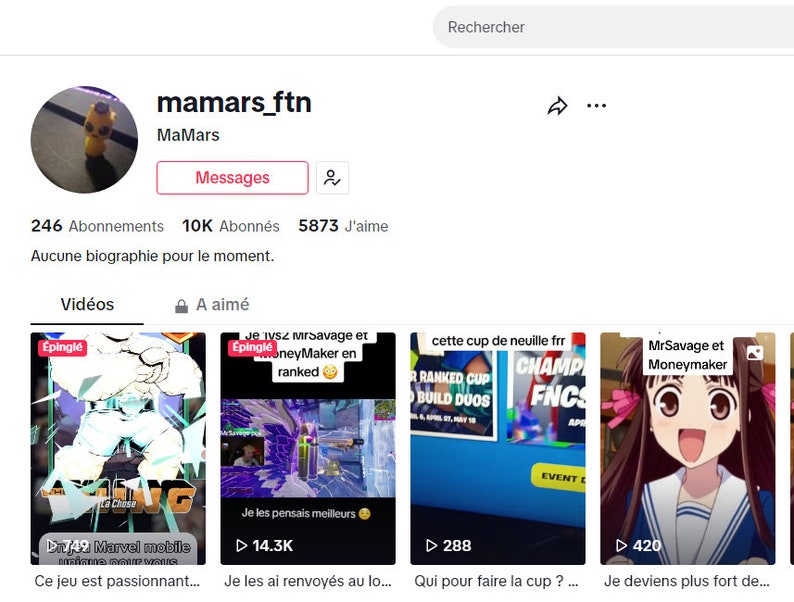 10.000 TikTok-Follower, SCHNELLE LIEFERUNG, Hohe Qualität, Nachfüllung 30DAYS Exclusive Bild 3