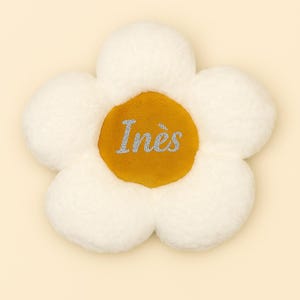 Personalized cushion