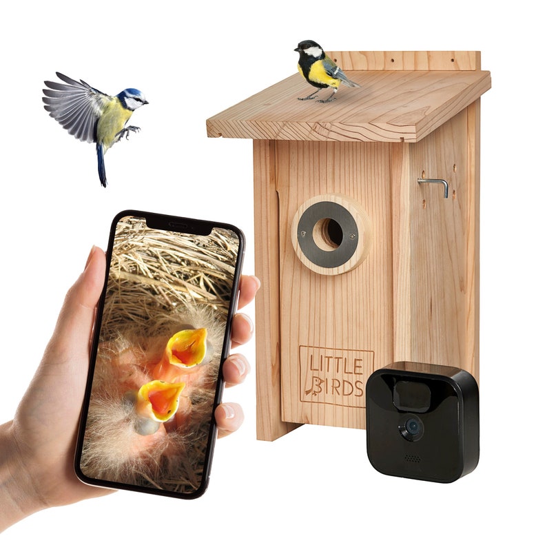 Caja nido para cámara Little Birds, casa para pájaros para cámara parpadeante, protección para gatos y pájaros carpinteros, casa para pájaros con cámara cámara no incluida imagen 1