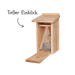 Little Birds Camera Nesting Box Birdhouse for blink camera, Cat and Woodpecker Protection, Camera Birdhouse camera not included image 6