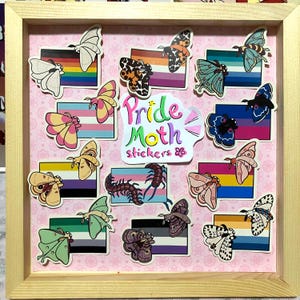 Puede incluir: Una colección de pegatinas Pride Moth coloridas en un marco de madera. Las pegatinas presentan ilustraciones de polillas con varios diseños de banderas del orgullo, incluyendo banderas arcoíris, transgénero y no binarias. También se incluye el texto "Pride Moth stickers".