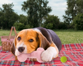 Jouet en peluche pour chien en forme d'os - Amusant interactif pour animaux de compagnie pour chats aussi !