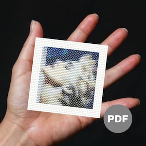 Album Cover (23) - Mini Cross Stitch Pattern, Pixel Art, Small Tiny Cross Stitch Pattern, Digital PDF Instant Download