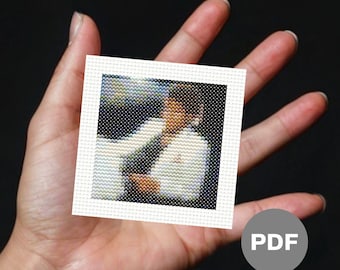 Album Cover (14) Mini Cross Stitch Pattern – Tiny Pixel Art (Digital PDF)