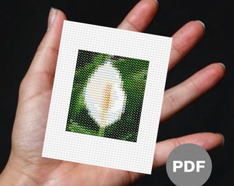 Peace Lily Mini Cross Stitch Pattern – Floral Pixel Art (Digital PDF)