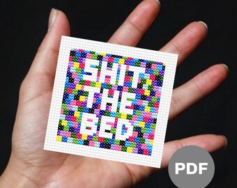 Abstract Mini Cross Stitch Pattern – Funny Rude Sassy Pixel Art (Digital PDF)