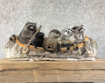 Canoeing Pals Novelty Taxidermy Mount | Grade: Excellent