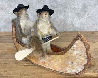 Canoeing Squirrels Novelty Taxidermy Mount | Grade: Excellent
