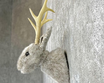 Jackalope Taxidermy Shoulder Mount | Grade: Excellent