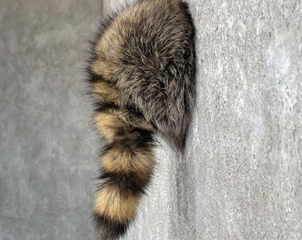 Raccoon Rump Novelty Taxidermy Mount | Grade: Premier